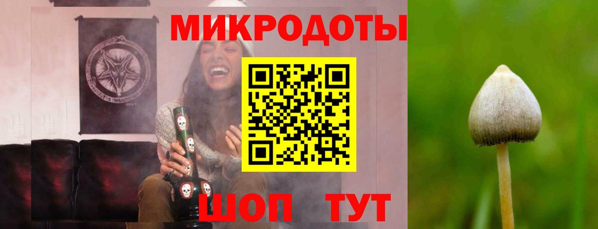 Галлюциногенные грибы Magic Shrooms Великий Устюг